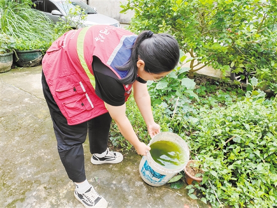 市疾控中心工作人員清理積水以預防登革熱。