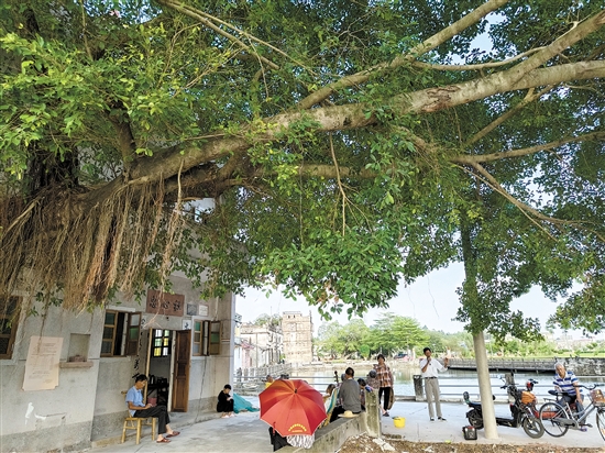 “倉東計(jì)劃”不僅希望把遺產(chǎn)保護(hù)好，還希望傳統(tǒng)的生活方式、生活環(huán)境保留下來。