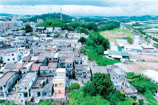 經(jīng)過改造后，鯤鵬村的舊房屋（上圖）披上具有海洋元素的“外衣”，村容村貌明顯改善。