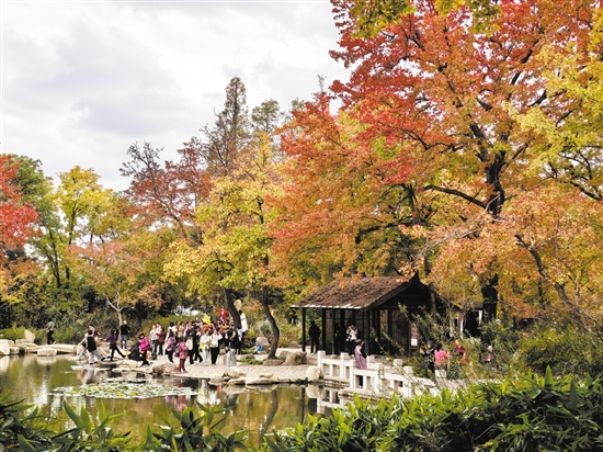 天平山秋色十分醉人。
