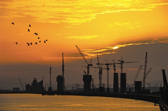 落日黃昏下，水鳥成群飛過黃茅海跨海通道。