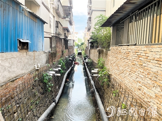整改前的新昌明渠積存大量污水，長時間暴露后容易發(fā)黑發(fā)臭。