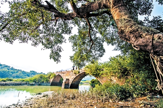 北陡鎮(zhèn)琴溪古橋。