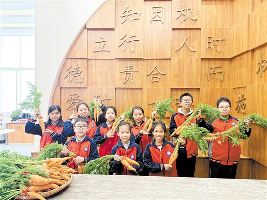 江海區(qū)景賢小學(xué)寒假志趣作業(yè)獲獎(jiǎng)學(xué)生收到了該校學(xué)生親手栽種的胡蘿卜。