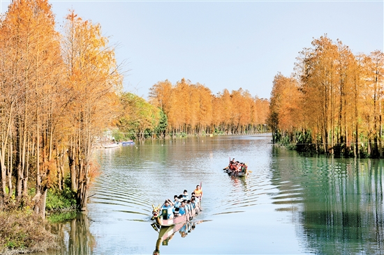 禮樂龍舟訓練基地風景如畫。