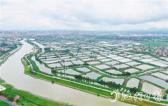 古勞鎮(zhèn)發(fā)動魚塘養(yǎng)殖戶開展魚塘清淤，推動魚塘養(yǎng)殖增產(chǎn)增收。