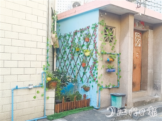 家門口的立體小花園為禾岡村注入生機(jī)與活力。