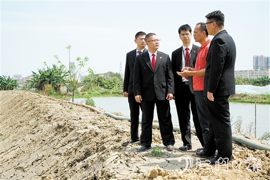 執(zhí)行法官在田間地頭向當(dāng)事人了解案情。