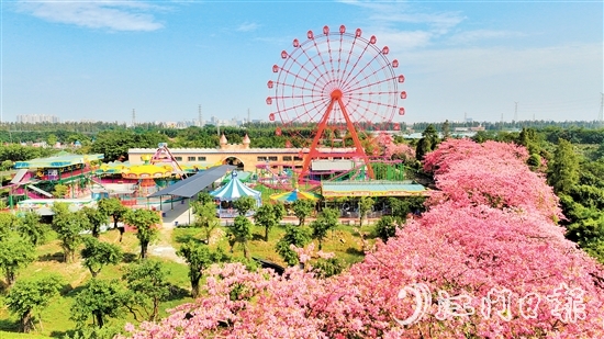 依托禮樂街道獨(dú)特旅游資源，長廊生態(tài)園開發(fā)研學(xué)旅游項(xiàng)目，賦能“江門三點(diǎn)三精彩之旅”品牌建設(shè)。