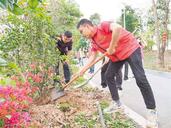 大家分工明確，一起植樹添新綠。