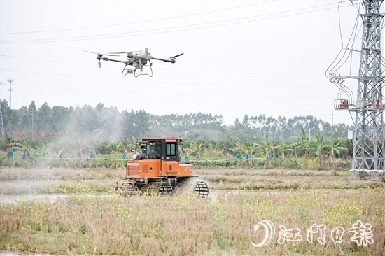 無人機、水旱耕作機協(xié)作開展春耕生產(chǎn)。