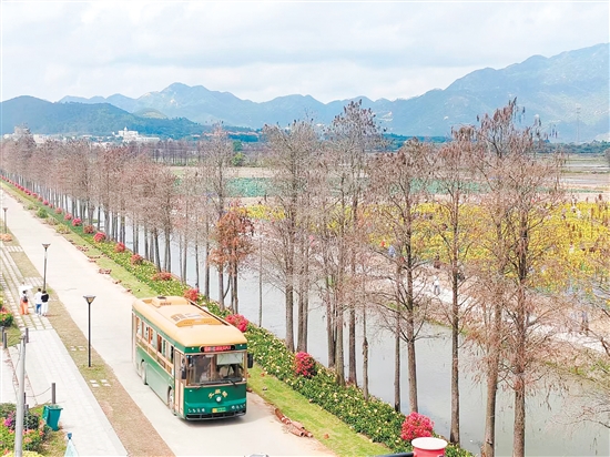 游客坐上“鐺鐺車”，欣賞沿途的美景。