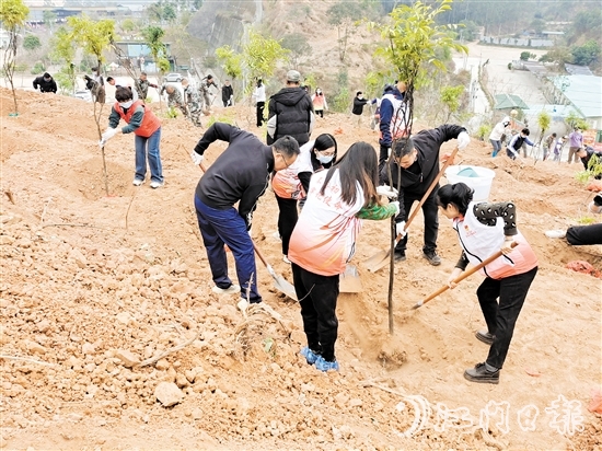 2025年蓬江區(qū)鄉(xiāng)村綠化主題植樹(shù)活動(dòng)在五洞村舉行，黨員群眾攜手種下一棵棵樹(shù)苗。