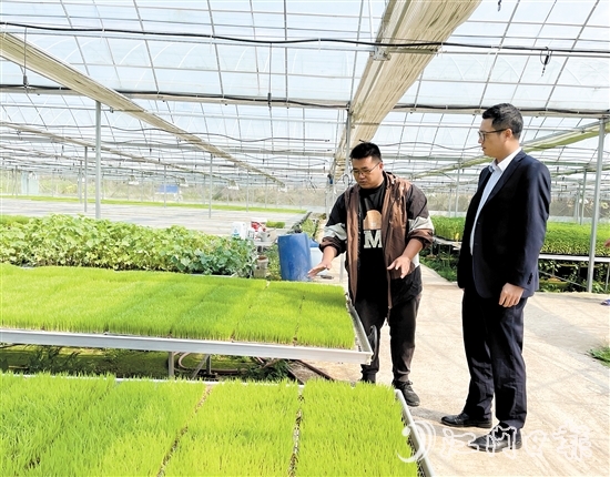 臺(tái)山農(nóng)商銀行客戶經(jīng)理上門(mén)對(duì)接農(nóng)戶春耕融資需求。