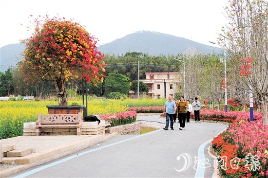 在鶴城鎮(zhèn)城西村忠心崗，油菜花、金魚草、三角梅競相開放。