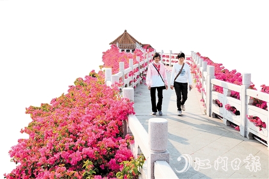 走進沙坪街道北湖公園，在九曲橋兩側，怒放的三角梅形成一條“水上花廊”。