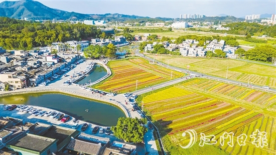 春賞格?；ā⑾挠^荷塘月、秋品稻花香、冬聞桂花釀的“全季旅游”模式，讓桂水村的知名度不斷攀升。