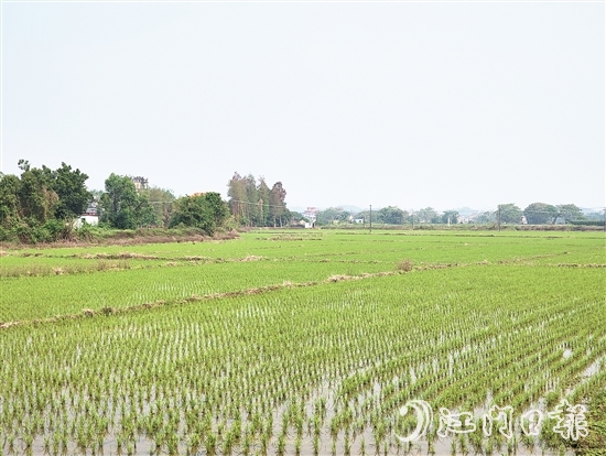 2024年，塘口新增耕地超49公頃，為鄉(xiāng)村振興注入了新動能。