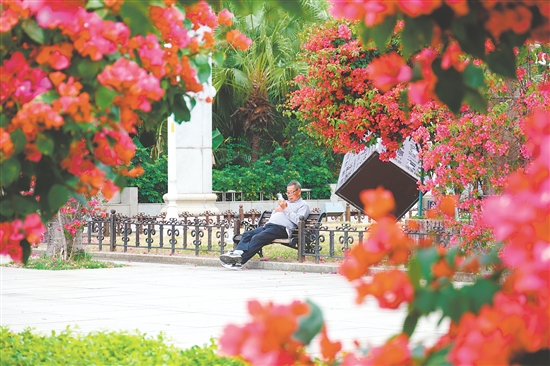影視劇《棋士》曾在東湖公園取景。