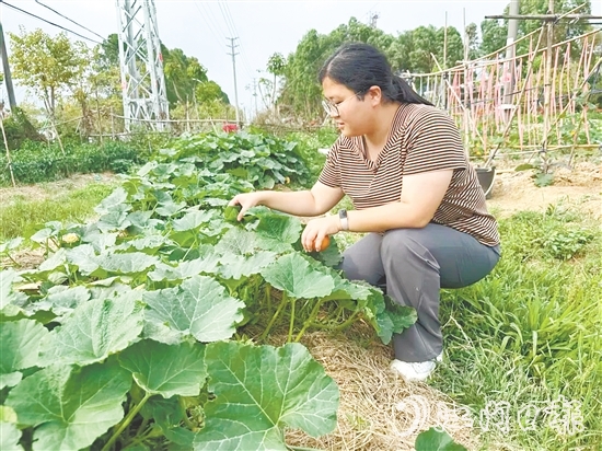 錢崗村村干部管好“黨群同心園”。
