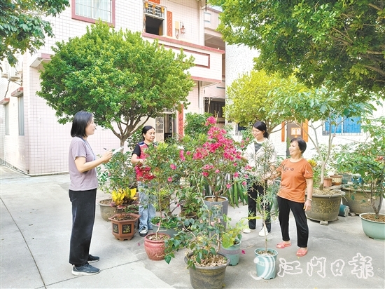 江海區(qū)鄉(xiāng)村綠化工作深入人心。圖為禮樂街道駐新華村干部、村“兩委”干部入戶開展鄉(xiāng)村綠化評分。