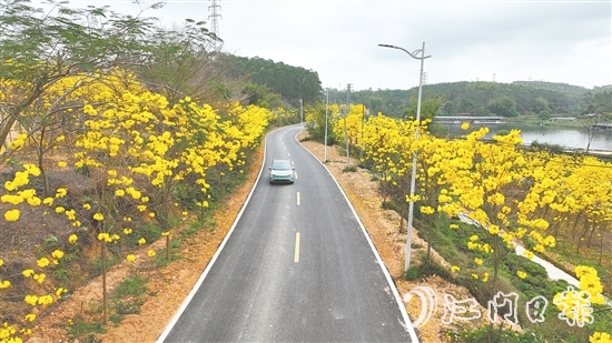 如今，縣道X552的面貌煥然一新，成為鄉(xiāng)村一道新風(fēng)景。