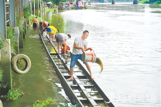掏泥沙、舀泥漿，長沙街道愛民村委會杜澄村村民分工合作，“請”出河中的“金龍”。