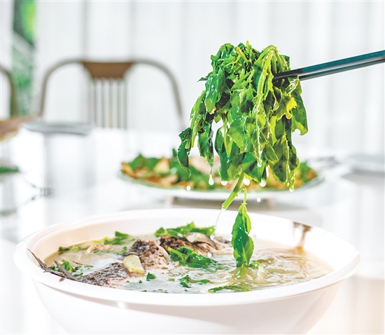 簕菜鯽魚湯鮮甜美味。