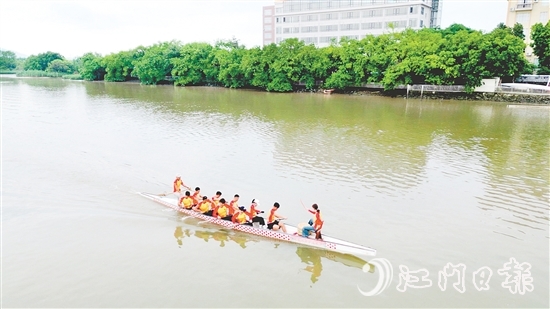 新會泓達堂陳皮龍舟隊積極備戰(zhàn)。