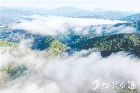 七星坑保護(hù)區(qū)的森林覆蓋率高達(dá)98%，負(fù)氧離子濃度年平均值達(dá)2192個(gè)/立方厘米，遠(yuǎn)超世界衛(wèi)生組織界定的清新空氣標(biāo)準(zhǔn)（≥1000個(gè)/立方厘米）。