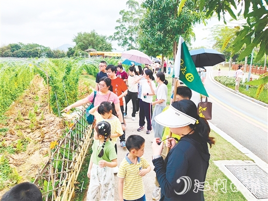 參與者們參觀農(nóng)作物種植。