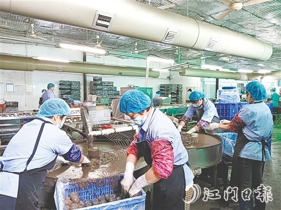 龔邊村依托本地特色農(nóng)業(yè)企業(yè)，深挖本地特色資源，強龍頭、補鏈條、樹品牌，將傳統(tǒng)手藝轉(zhuǎn)化為年產(chǎn)值超2000萬元的支柱產(chǎn)業(yè)，一枚枚咸香流油的咸鴨蛋成為富民強村的“金鑰匙”。