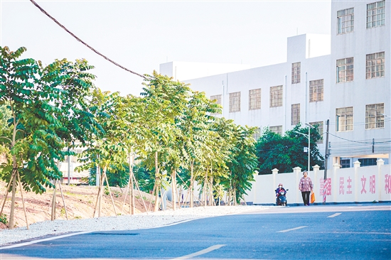 昆中村實(shí)施主干道環(huán)境提升項(xiàng)目。