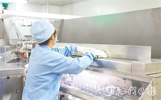 在生物醫(yī)藥產(chǎn)業(yè)領(lǐng)域，開平市聚焦生產(chǎn)制造端，在珠江西岸率先構(gòu)建起“原料藥—化藥制劑—醫(yī)療器械—流通服務(wù)—終端需求”的垂直整合型產(chǎn)業(yè)生態(tài)。圖為廣東彼迪藥業(yè)有限公司生產(chǎn)車間。