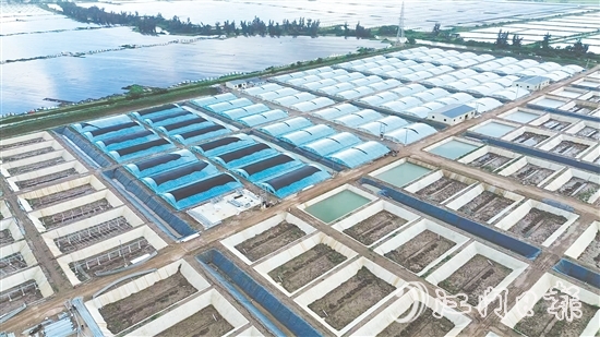 汶村鎮(zhèn)今年新引進華辰水產(chǎn)，這是集研發(fā)、規(guī)?；B(yǎng)殖、生產(chǎn)于一體的現(xiàn)代化項目。