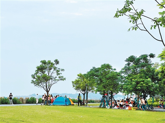 每到周末及節(jié)假日，江門各大公園及露營地成為親子野餐露營的首選之地。