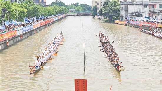 扒丁們在比賽中奮力劃槳。