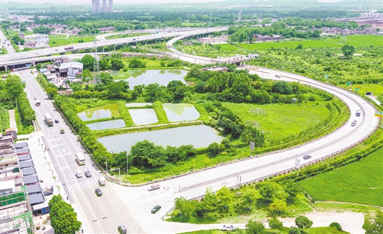 近年來，水步鎮(zhèn)先后投入約500萬元用于周邊廊道建設(shè)。