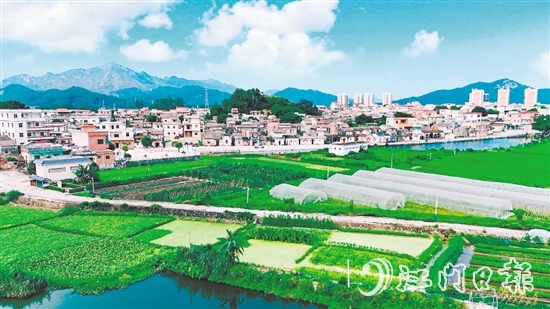 汶村鎮(zhèn)沙奇村通過深耕特色農(nóng)業(yè)、強化黨建引領(lǐng)、創(chuàng)新基層治理，實現(xiàn)從“臟亂差”到“綠富美”的華麗蝶變。