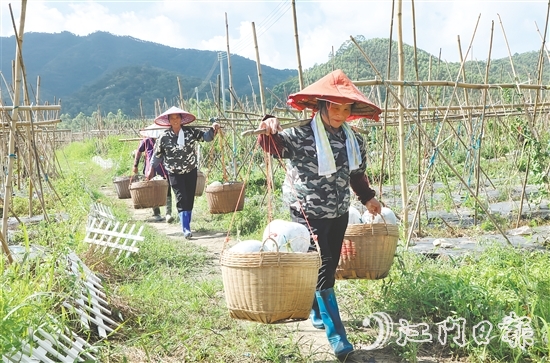 “潭碧冬瓜”地理標(biāo)志專用標(biāo)志的核準(zhǔn)使用既是對(duì)潭碧冬瓜產(chǎn)品質(zhì)量的高度認(rèn)可，又有助于保護(hù)和傳承地方特色產(chǎn)品。