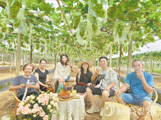 英姑葡萄園舉辦葡萄音樂會。譚鳳英