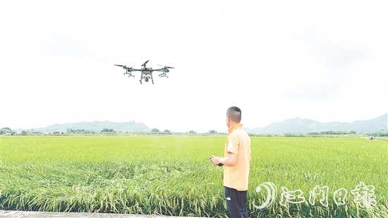 農(nóng)業(yè)技術(shù)人員利用大型植保無人機(jī)對(duì)農(nóng)田進(jìn)行補(bǔ)肥殺蟲。