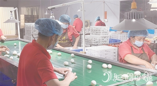 赤水鎮(zhèn)現(xiàn)已形成集種鴨繁育、生態(tài)養(yǎng)殖、飼料供應(yīng)、肉禽屠宰、蛋品加工、冷鏈物流于一體的完整產(chǎn)業(yè)鏈，產(chǎn)業(yè)總產(chǎn)值超5億元。