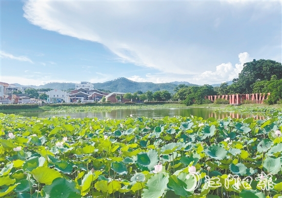 都斛鎮(zhèn)大綱村圍繞產(chǎn)業(yè)發(fā)展、人居環(huán)境、鄉(xiāng)村治理三大重點領(lǐng)域持續(xù)發(fā)力，打造成為區(qū)域鄉(xiāng)村振興的示范樣板。