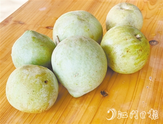 冰淇淋果果實成熟時可呈黃色或綠色，果肉為乳白色或米黃色，質地綿軟順滑，果香濃郁。