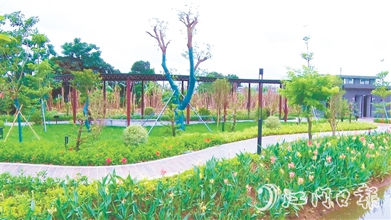 沙東村的村容村貌煥然一新。