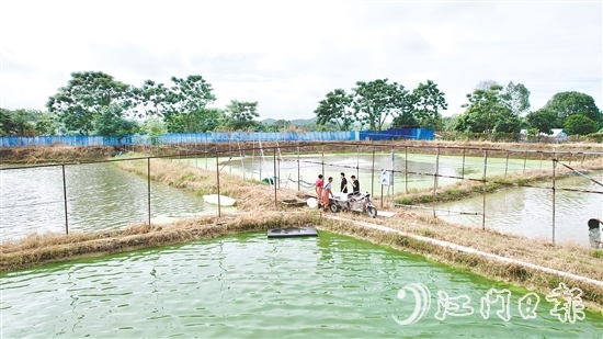 養(yǎng)殖基地毗鄰鶴城鎮(zhèn)三堡河，水源充沛，水質(zhì)優(yōu)良。
