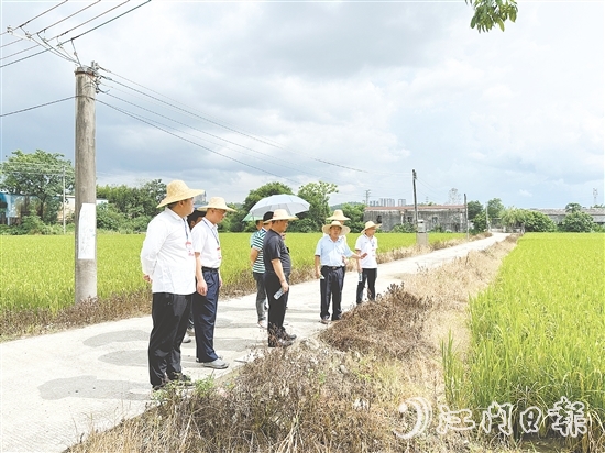 人大代表們到石青村視察典型村建設(shè)情況。