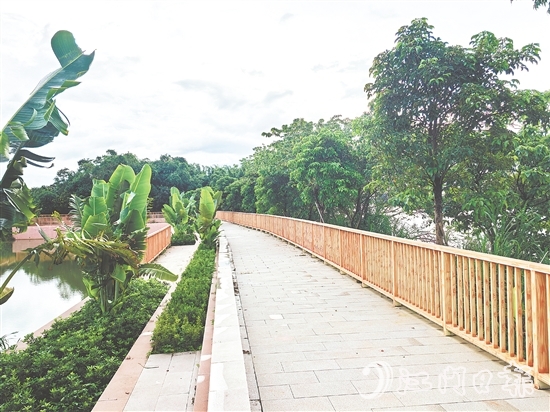 在紅衛(wèi)島堤防達(dá)標(biāo)加固工程的加持下，環(huán)島休閑漫步道建設(shè)持續(xù)推進(jìn)。