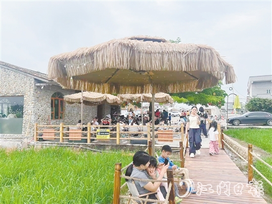 牛江鎮(zhèn)牛欄咖啡吸引諸多游客前來打卡。